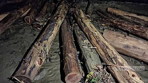 চবির ছড়া থেকে সেগুন-গামারি কাঠ উদ্ধার