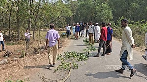 গাজীপুরে গজারি বন ও পতিত মাঠ থেকে ২ জনের পোড়া মরদেহ উদ্ধার