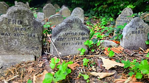 পোষা প্রাণীর ‘প্রথম’ কবরস্থান: ভালোবাসার বিপ্লবের গল্প