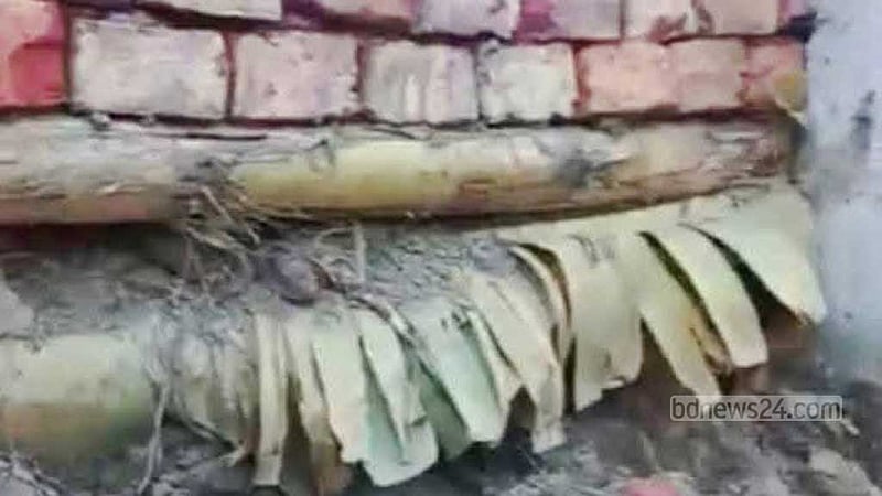 মাদারীপুরে গাইড ওয়াল নির্মাণে কলা গাছ!