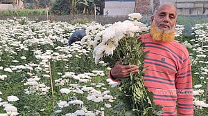 ফুলে ফুলে রঙিন সিংগাইর, উৎসব ঘিরে চাঙ্গা বাজার