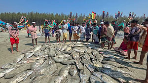 এক টানে সাড়ে ৫ লাখ টাকার মাছ