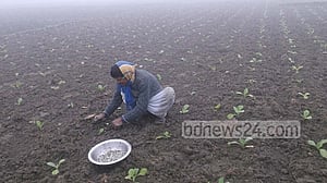 ফেব্রুয়ারির শুরুতে শৈত্যপ্রবাহ, শেষে বজ্রবৃষ্টির পূর্বাভাস