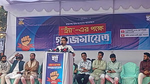 ‘ডিপ স্টেটের’ একটা অংশ ‘না’ প্রচারণা চালাচ্ছে: সাদিক কায়েম