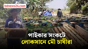 শরীয়তপুরে পাইকার সংকটে মৌ চাষীরা