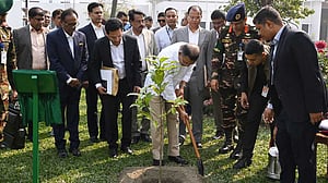 এক বছরে ৭ কোটি গাছ লাগাতে চায় সরকার