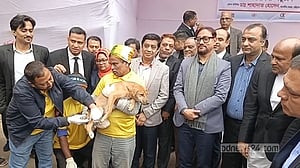 জলাতঙ্ক: চট্টগ্রামে ১৫ হাজার কুকুরকে টিকা দেওয়ার লক্ষ্য