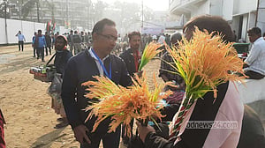 ‘ধানের শীষ’ বেচতে নারায়ণগঞ্জ থেকে চট্টগ্রামে