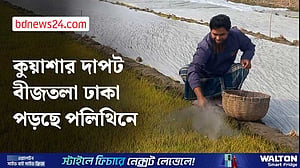 যশোরে শীত-কুয়াশায় নষ্ট হচ্ছে বোরো বীজতলা, বিপাকে কৃষক