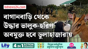 খাগড়াছড়ির বাগানবাড়ি থেকে ভালুক, হরিণ ও বানর উদ্ধার