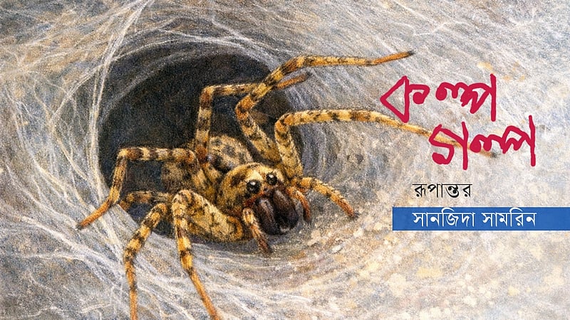 ডোরিন ক্রোনিনের গল্প: ছোট্ট মাকড়সার ডায়েরি