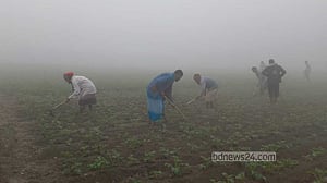 ২৪ জেলায় শৈত্যপ্রবাহ, থাকবে আরও কয়েকদিন
