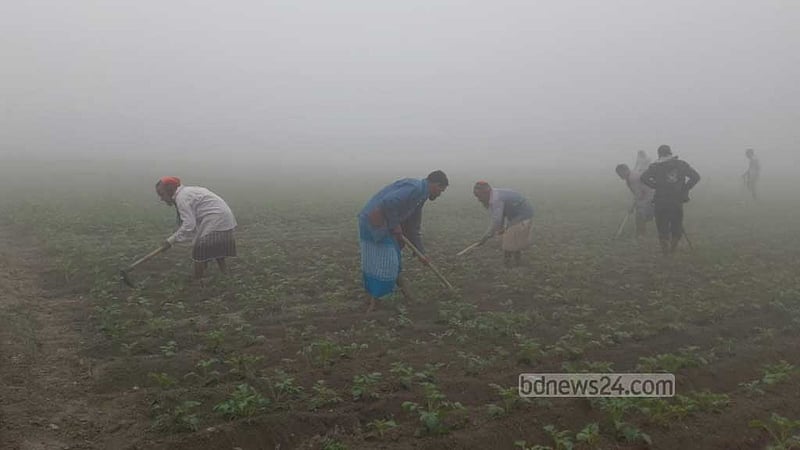 ২৪ জেলায় শৈত্যপ্রবাহ, থাকবে আরও কয়েকদিন