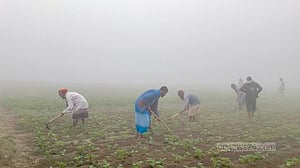 শৈত্যপ্রবাহে কাহিল জনজীবন