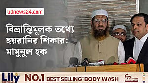 নিজের ভাবমূর্তি ক্ষুণ্ন হওয়া নিয়ে যা বললেন মামুনুল