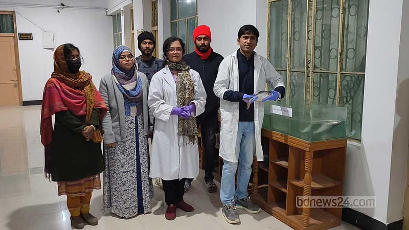 পাঙাশের ‘মড়ক’ ঠেকাতে ভ্যাকসিন উদ্ভাবন, মৎস্য চাষে আশার আলো