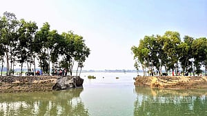 তিস্তা সেচ খালের বাঁধে ভাঙন, তলিয়েছে শতাধিক একর ফসলি জমি