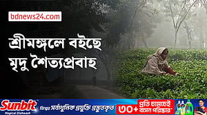 শ্রীমঙ্গলে তাপমাত্রা ৮.৬ ডিগ্রি সেলসিয়াস, শীতে জবুথবু জীবন