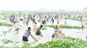 সিলেটে মৃদু শৈত্যপ্রবাহ উপেক্ষা করে পলো বাওয়া উৎসব