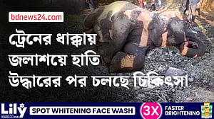সিলেটে ট্রেনের ধাক্কায় জলাশয়ে পড়ে যাওয়া হাতি উদ্ধার