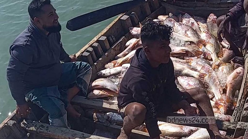 টেকনাফে জেলের জালে ৬ শতাধিক কোরাল, বিক্রি দশ লাখে