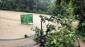 চট্টগ্রামে ভেসে গেছে ৭৪২০ জলাশয়