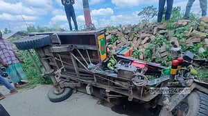 চুয়াডাঙ্গায় সড়ক দুর্ঘটনায় ভ্যান চালকের মৃত্যু
