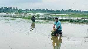 কুমিল্লায় পাহাড়ি ঢলে তলিয়েছে গোমতীর চরের ফসলি জমি