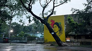 ঢাকা বিশ্ববিদ্যালয়ে নানা ঝুঁকিতে ২২০০ গাছ