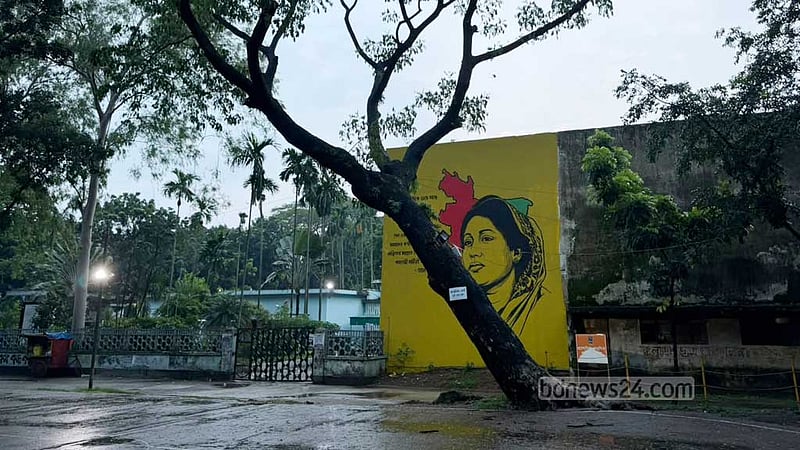 ঢাকা বিশ্ববিদ্যালয়ে নানা ঝুঁকিতে ২২০০ গাছ