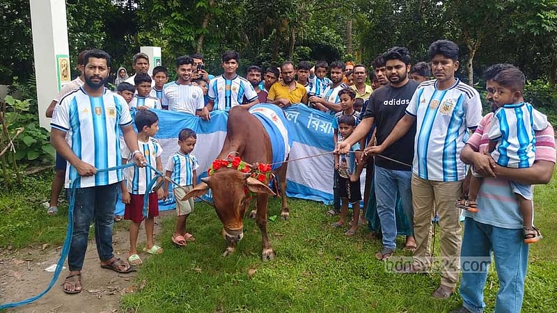 গোপালগঞ্জে আর্জেন্টিনা সমর্থক গোষ্ঠীর গরু দিয়ে ভূরিভোজের আয়োজন