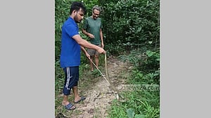খাগড়াছড়িতে ৪ পদ্ম গোখরা সাপ বনে অবমুক্ত
