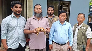 খাগড়াছড়িতে ‘মহাবিপন্ন’ প্রজাতির হলুদ কাছিম উদ্ধার