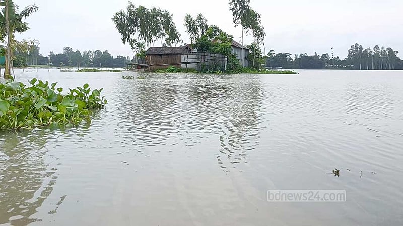 কুড়িগ্রামে নামছে পানি, বাড়ছে ভাঙন: ক্ষতিগ্রস্ত ৫০০ হেক্টর ফসল