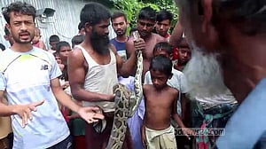 কুড়িগ্রামে ১০ ফুট লম্বা অজগর উদ্ধার, বনবিভাগে হস্তান্তর