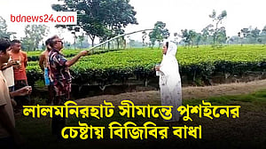 লালমনিরহাট সীমান্তে ৩ নারীকে পুশইনের চেষ্টা বিজিবির বাধায় ব্যর্থ