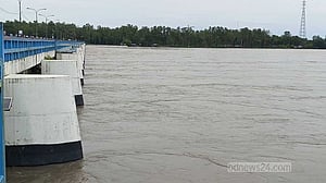 তিস্তার পানি কমলেও ডালিয়া পয়েন্টে বিপৎসীমা ছুঁইছুঁই