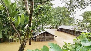 মৌলভীবাজারে বাঁধ ভেঙে প্লাবিত অন্তত ২৫ গ্রাম, বানের পানিতে বৃদ্ধের মৃত্যু