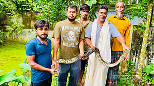 প্রয়াত বাবার পথ ধরে শ্রীমঙ্গলে অজগর উদ্ধার করলেন সজল