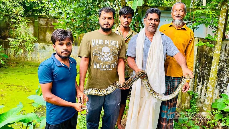 প্রয়াত বাবার পথ ধরে শ্রীমঙ্গলে অজগর উদ্ধার করলেন সজল