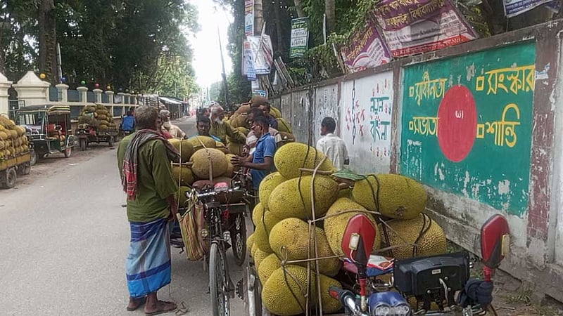 নড়াইলে কাঁঠাল বিক্রি করে ভ্যানভাড়াও উঠছে না
