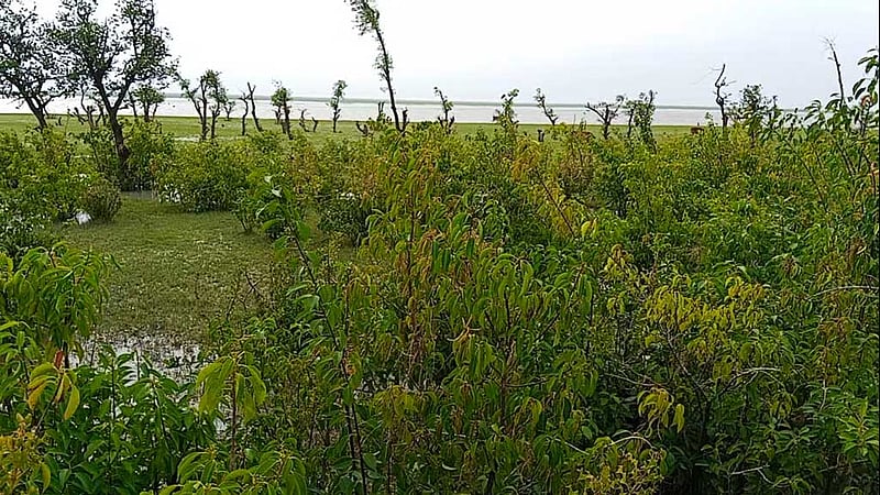 নিঝুমদ্বীপে ভেসে আসা মরদেহ উদ্ধার