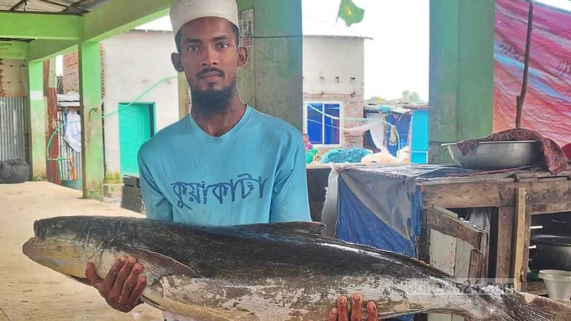 বঙ্গোপসাগরে জেলের জালে ধরা পড়ল ২০ কেজির ‘সামুদ্রিক শোল’