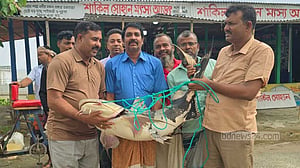পদ্মায় ধরা পড়ল ২ বাঘাইড়, বি‌ক্রি ১ লাখ ১৪ হাজারে