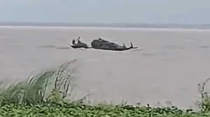 রাজশাহীর পদ্মা নদীতে ট্রলার ডুবে বাবা-ছেলে নিখোঁজ