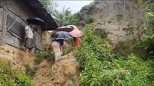 রাঙামাটিতে পাহাড় থেকে গাছের গুড়ি পড়ে বৃদ্ধের মৃত্যু