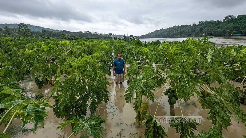 বন্যায় রাঙামাটিতে ৩৬৭৫ হেক্টর কৃষিজমির ক্ষতি