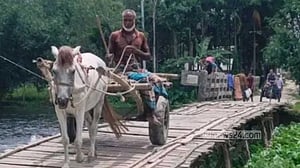 সংযোগ সড়কহীন সেতুতে ১২ বছরের দুর্ভোগ, বাঁশের সাঁকোয় ঝুঁকিপূর্ণ পারাপার