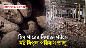 শেরপুরে হিমাগারে বিষাক্ত গ্যাসে ৫৫ হাজার বস্তা আলু ক্ষতিগ্রস্ত!