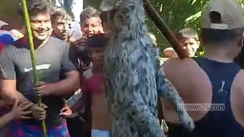 সুনামগঞ্জে ‘বন কর্মকর্তাদের সামনে’ মেছোবাঘ পিটিয়ে হত্যা, ক্ষোভ